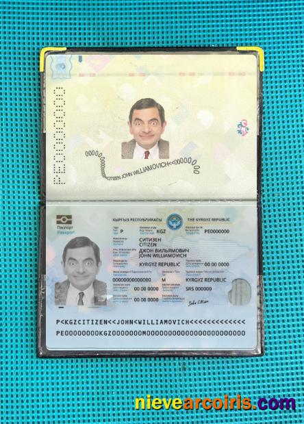 Kyrgyzstan passport 2021-present photolook